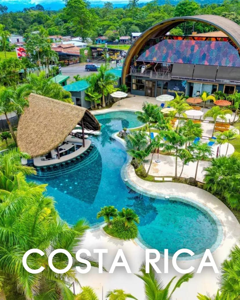 Glass installation showcase